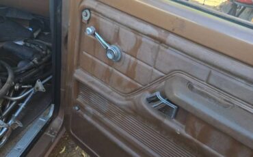 Ford-f250-super-duty-1974-brown-12