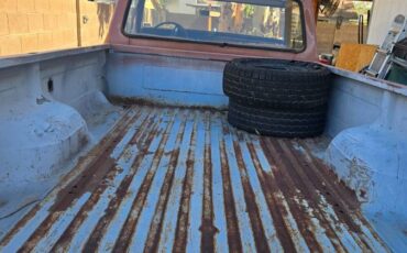Ford-f250-super-duty-1974-brown-13