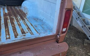 Ford-f250-super-duty-1974-brown-14