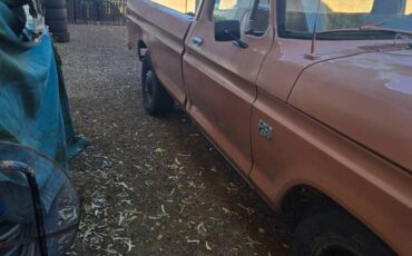Ford-f250-super-duty-1974-brown-16