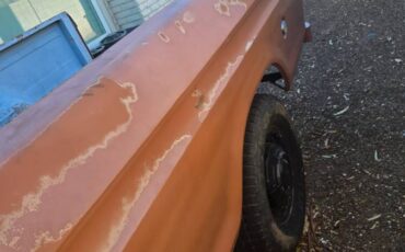 Ford-f250-super-duty-1974-brown-18