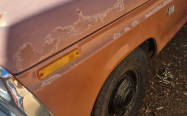 Ford-f250-super-duty-1974-brown-19