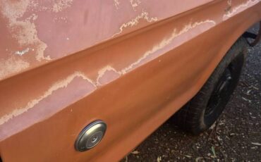 Ford-f250-super-duty-1974-brown-21