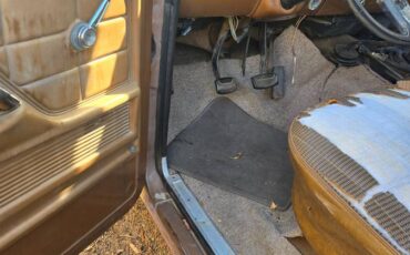 Ford-f250-super-duty-1974-brown-22