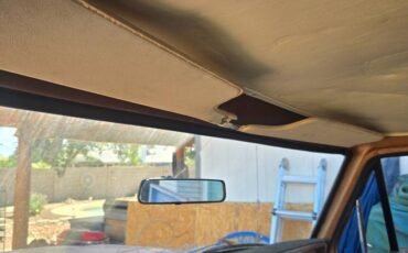Ford-f250-super-duty-1974-brown-23