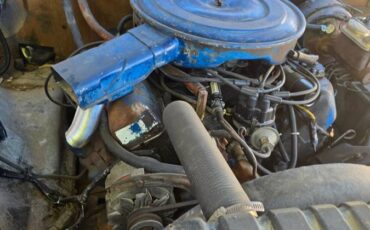 Ford-f250-super-duty-1974-brown-3
