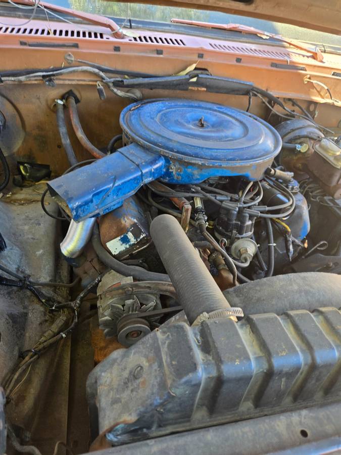 Ford-f250-super-duty-1974-brown-3