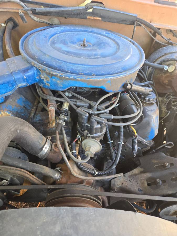 Ford-f250-super-duty-1974-brown-4