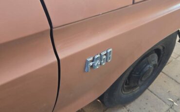 Ford-f250-super-duty-1974-brown-6