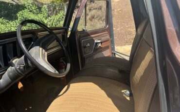 Ford-f250-super-duty-super-cab-1978-brown-2