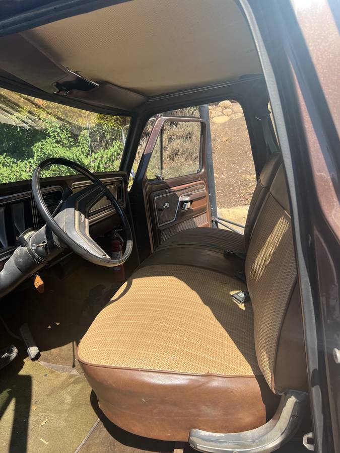 Ford-f250-super-duty-super-cab-1978-brown-2