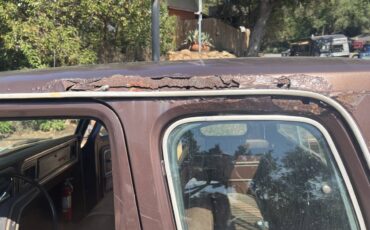 Ford-f250-super-duty-super-cab-1978-brown-6