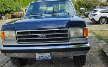 Ford-f250-xlt-lariat-1991-blue-10