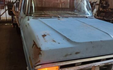 Ford-f350-1975-blue-1