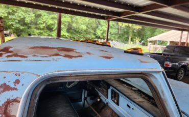 Ford-f350-1975-blue-18