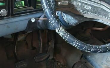 Ford-f350-1975-blue-3