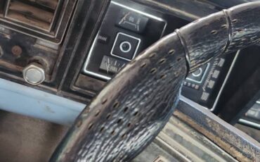 Ford-f350-1975-blue-9