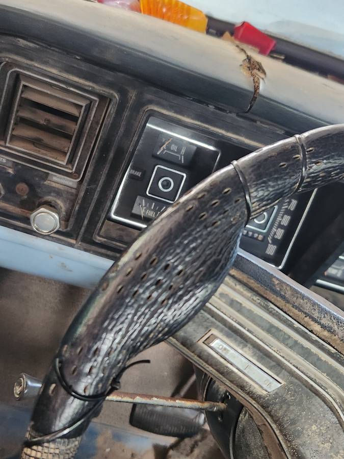 Ford-f350-1975-blue-9
