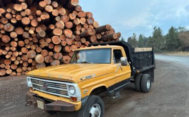 Ford-f350-4x4-1969-yellow-4
