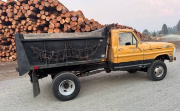 Ford-f350-4x4-1969-yellow-53