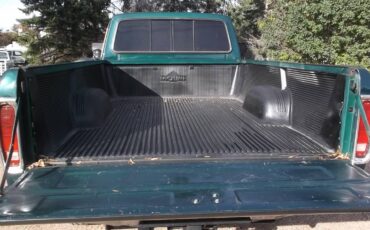 Ford-f350-4x4-1979-green-7