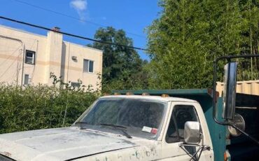 Ford-f350-super-duty-xlt-diesel-1986