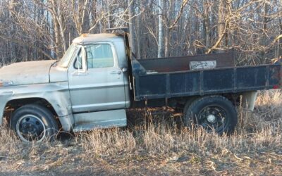 Ford f500 1971