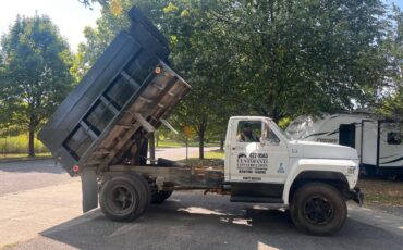 Ford-f600-1985-white-3