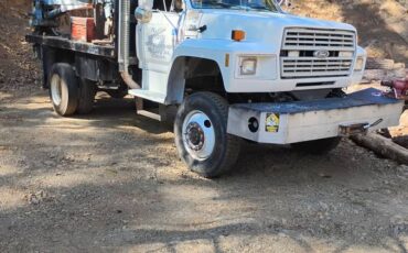Ford-f700-diesel-1991-3