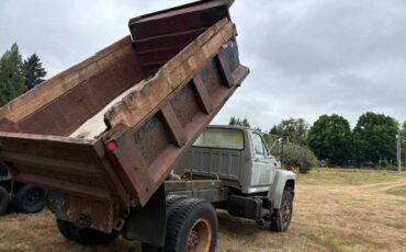 Ford-f800-1984-custom-2