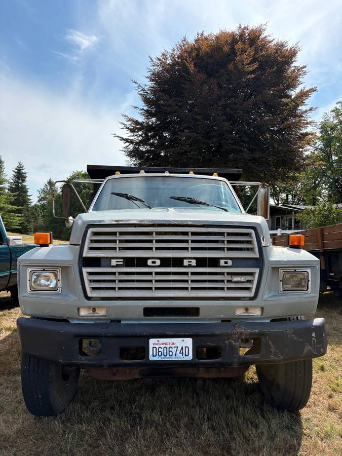 Ford-f800-1984-custom-3