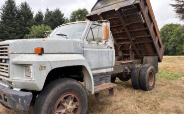 Ford-f800-1984-custom