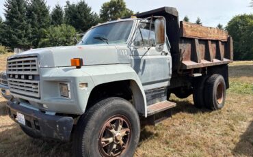 Ford-f800-1984-custom-4