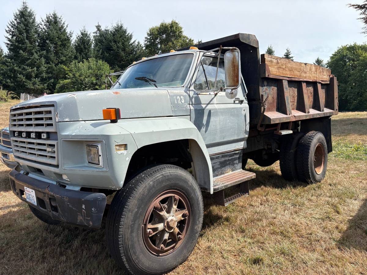 Ford-f800-1984-custom-4