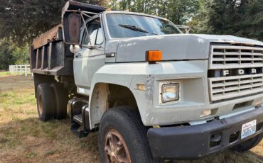 Ford-f800-1984-custom-5