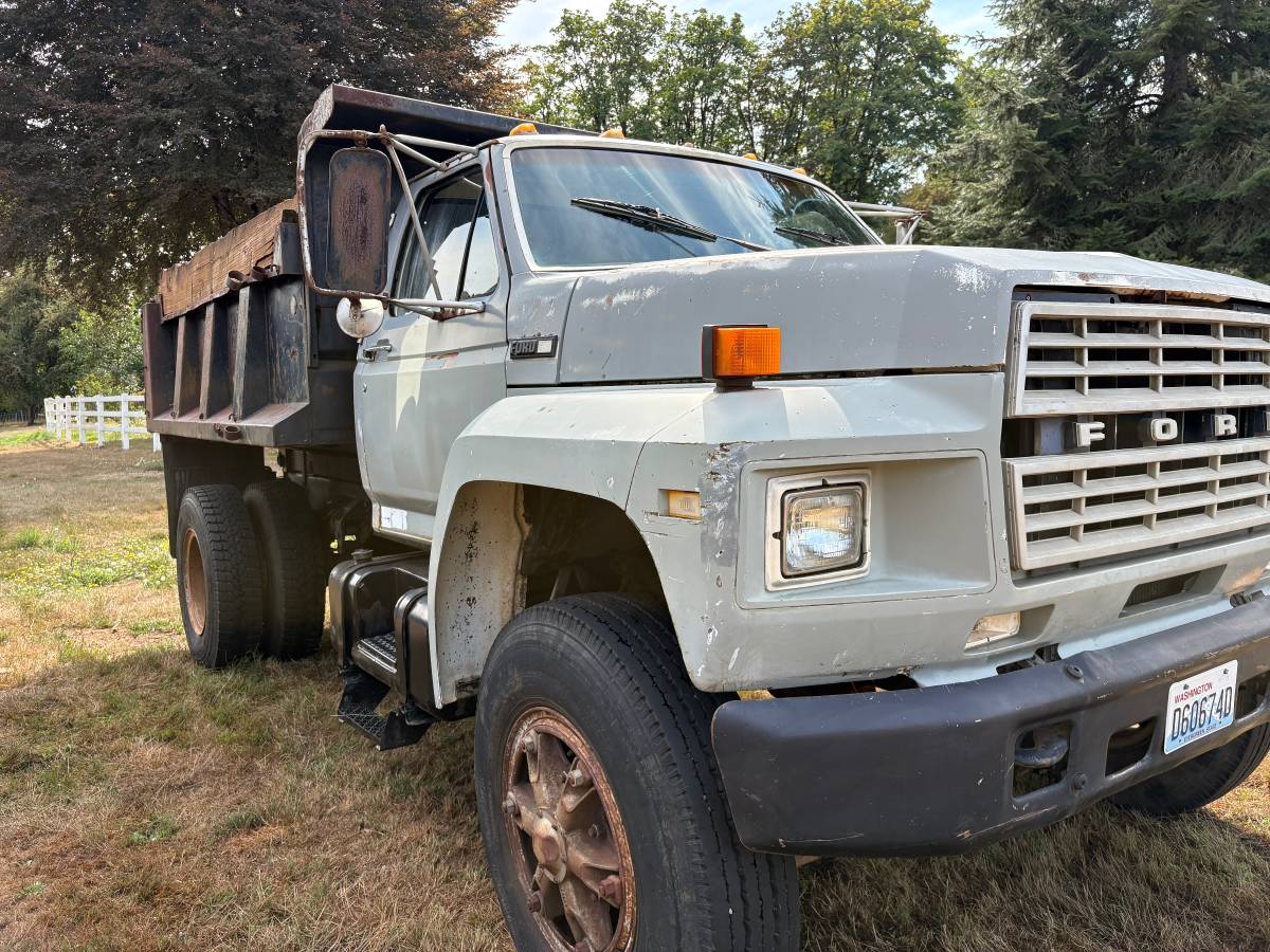 Ford-f800-1984-custom-5