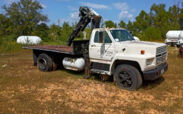 Ford-f800-1989-16