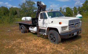 Ford-f800-1989-17
