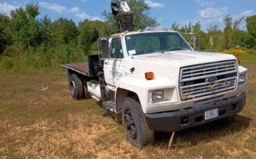 Ford-f800-1989-18