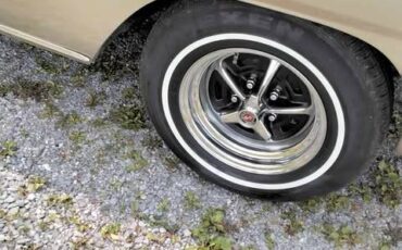 Ford-fairlane-500-1965-brown-19