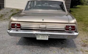 Ford-fairlane-500-1965-brown-3