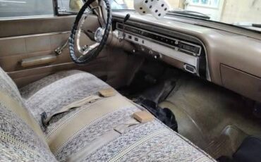Ford-fairlane-500-1965-brown-6