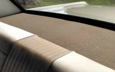 Ford-fairlane-500-1965-brown-7