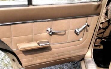 Ford-fairlane-500-1965-brown-8