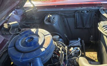 Ford-fairlane-500-1967-brown-27