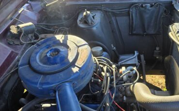 Ford-fairlane-500-1967-brown-28