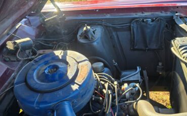 Ford-fairlane-500-1967-brown-6