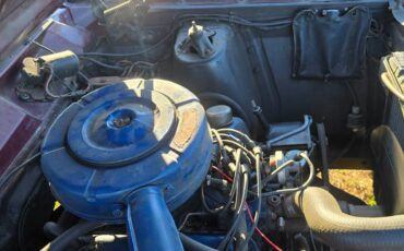 Ford-fairlane-500-1967-brown-7