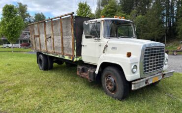 Ford-ln-750-1976-white-1