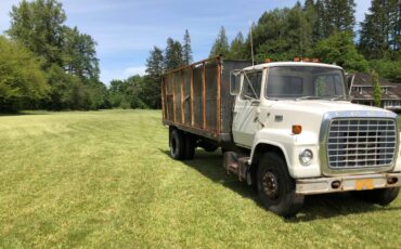 Ford-ln-750-1976-white-11